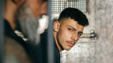 Gangs, Mafias & Co. backdrop