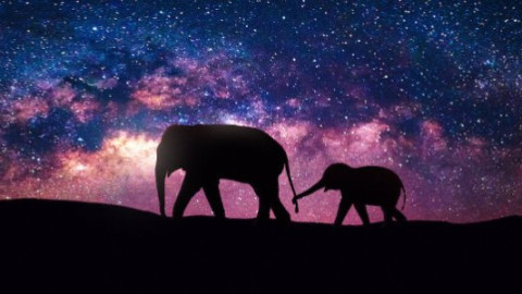 doku/tainment backdrop