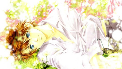 Lgbtq+ (BL) backdrop