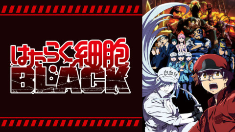 ANIME - Deutsch backdrop