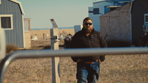 Divers/Hammer backdrop