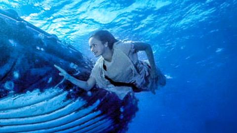 Mermaids - Meerjungfrauen backdrop