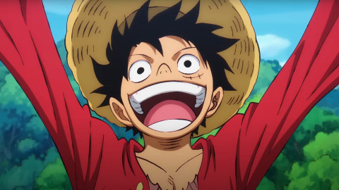 One Piece backdrop