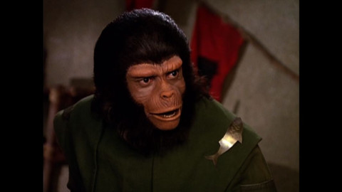 💥Metaphysisch & Futuristisch💫 backdrop