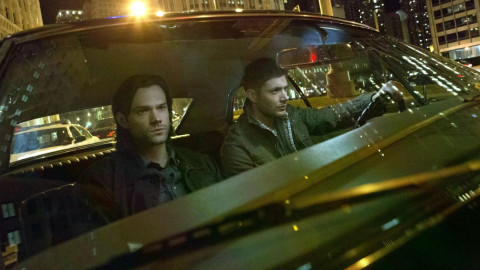 Einfach  Nur spitze backdrop