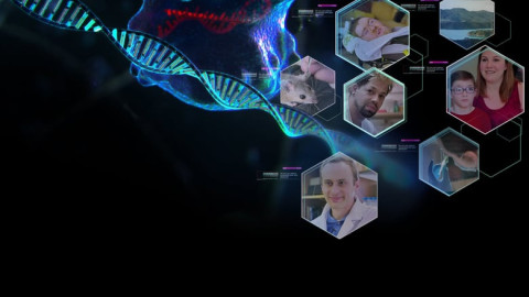 Doku - Allgemein backdrop