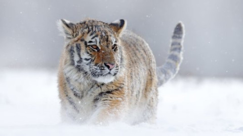 💤 Dokus zum Schlafen backdrop