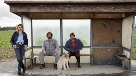 5. Comedy|Sitcom Serien backdrop