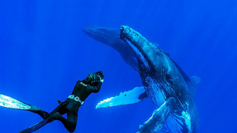 💤 Dokus zum Schlafen backdrop