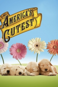 America's Cutest