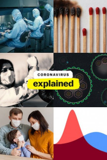 Coronavirus, Explained