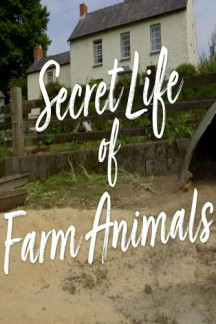 Der Bauernhof – Die faszinierende Welt der Tiere