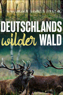 Deutschlands wilder Wald