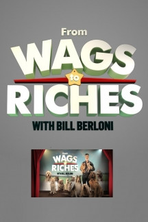 Dog Hollywood – Vom Streuner zum Star