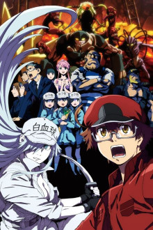Hataraku Saibou Black