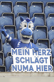 MSV - Mein Herz schlägt numa hier