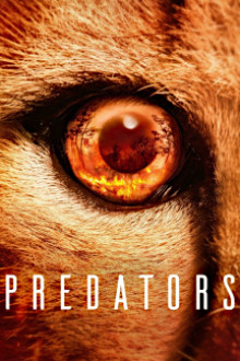 Predators - Jäger in Gefahr