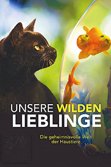 Unsere wilden Lieblinge
