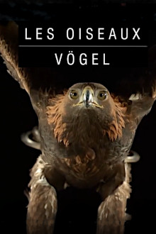 Vögel