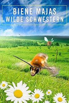 Wildbienen und Schmetterlinge 