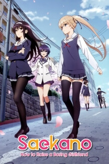 Saenai Heroine no Sodatekata