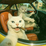 Hironakamuura5 avatar