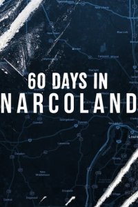 Cover 60 Days In – Undercover im Drogensumpf, Poster