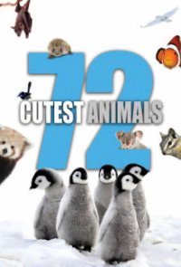 Cover 72 Cutest Animals, Poster