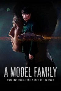 A Model Family Cover, Poster, A Model Family DVD