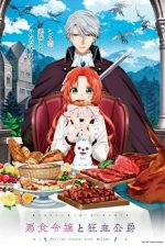 Staffel 1 Cover, Poster