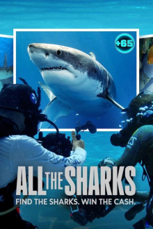 All the Sharks, Cover, HD, Serien Stream, ganze Folge