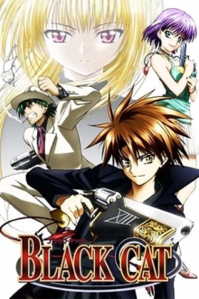 Black Cat, Cover, HD, Serien Stream, ganze Folge