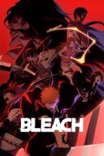 Cover Bleach, Poster Bleach
