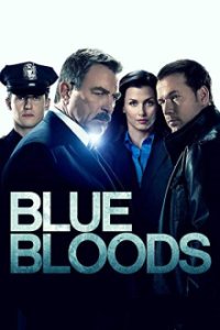 Blue Bloods - Crime Scene New York Cover