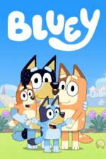 Cover Bluey, Poster Bluey