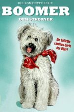 Cover Boomer, der Streuner, Poster, Stream