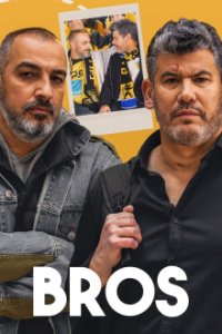 Bros Cover, Online, Poster