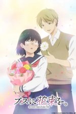 Staffel 1 Cover, Poster