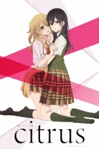 Citrus Cover, Online, Poster