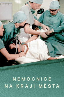 Das Krankenhaus am Rande der Stadt, Cover, HD, Serien Stream, ganze Folge