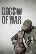 Cover Dogs of War – Hilfe auf vier Pfoten, Poster, Stream