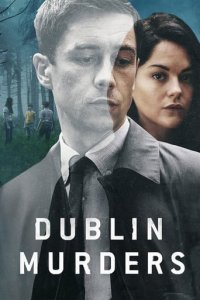 Cover Dublin Murders, Dublin Murders