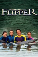 Cover Flippers neue Abenteuer, Poster, Stream