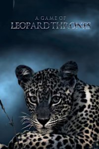 Poster, Game of Leopard Thrones - Die Königin der Leoparden Serien Cover