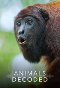 Poster, Geheime Sprache der Tiere Serien Cover