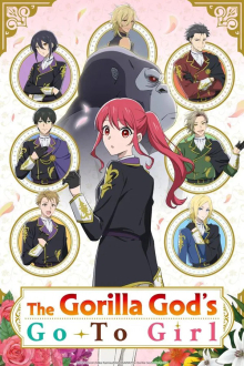 Cover Gorilla no Kami kara Kago SerienStream Gorilla no Kami kara Kago, Cover, HD, Serien Stream, ganze Folge
