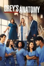 Grey's Anatomy - Die jungen Ärzte Cover, Grey's Anatomy - Die jungen Ärzte Stream