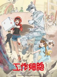 Hataraku Saibou Cover, Hataraku Saibou Poster