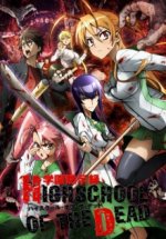 Cover Highschool of the Dead, Poster Highschool of the Dead