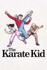 Cover Karate Kid, Poster, Stream